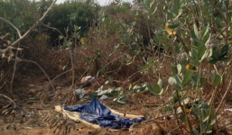 Phát hiện thi thể người đàn ông trong bụi rậm